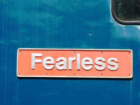 https://commons.wikimedia.org/wiki/File:Fearless_50050.jpg